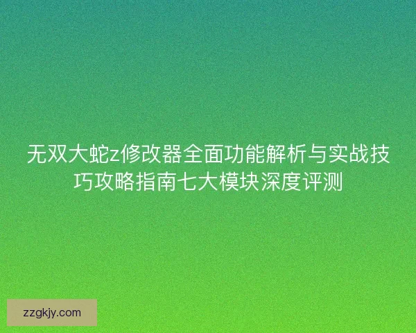无双大蛇z修改器全面功能解析与实战技巧攻略指南七大模块深度评测