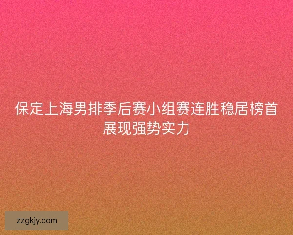 保定上海男排季后赛小组赛连胜稳居榜首展现强势实力 保定上海男排季后赛小组赛连胜稳居榜首展现强势实力